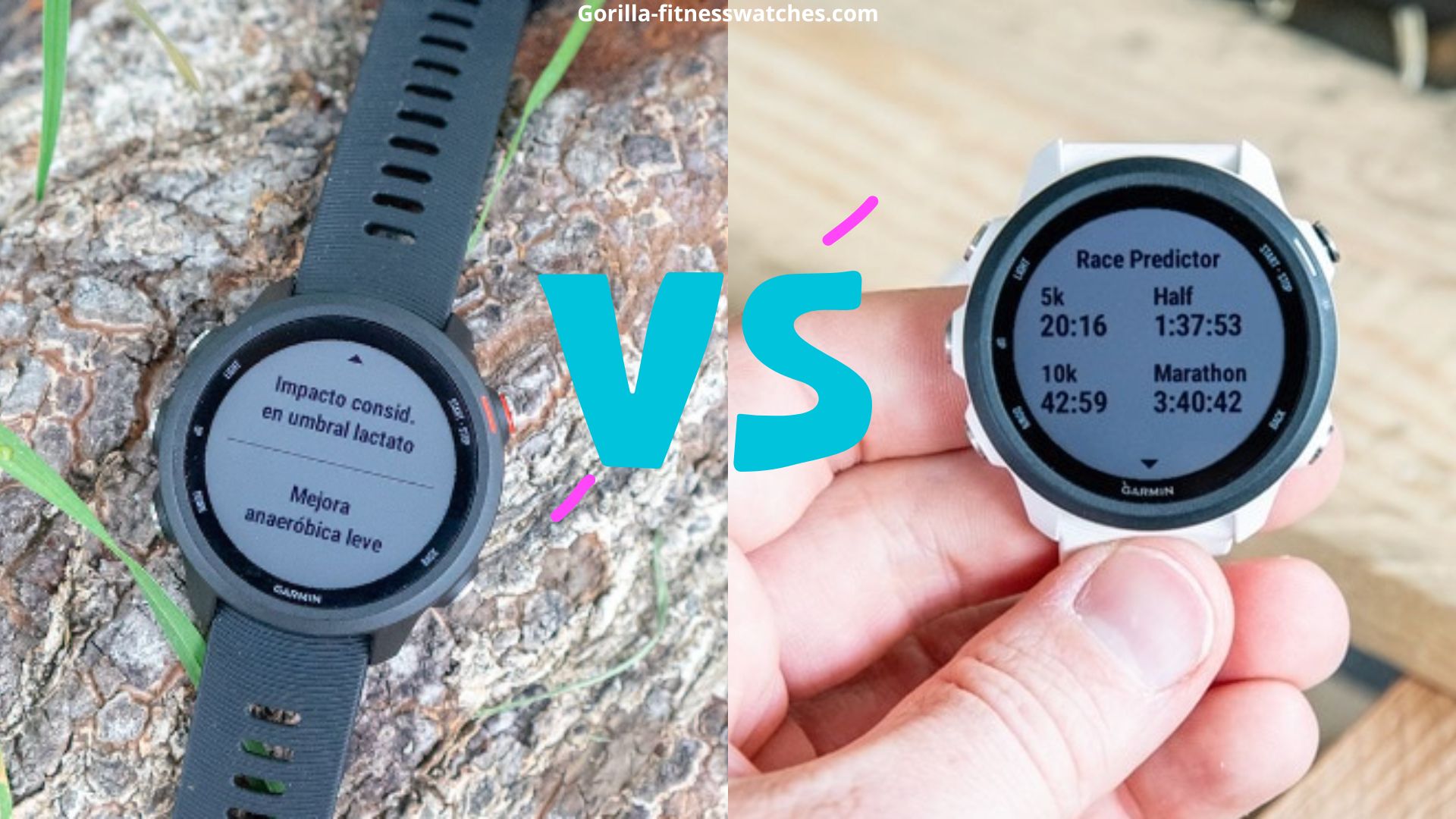 Garmin Venu 2 Plus VS Forerunner 245