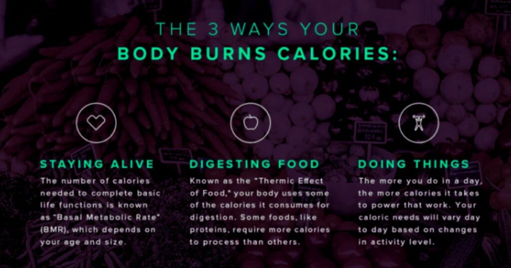 Whoop calorie tracking reliability