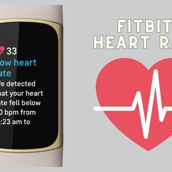 how accurate is fitbit heart rate