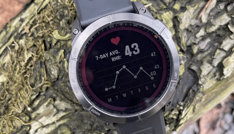 Garmin Fenix 7 VS Venu 2 Plus