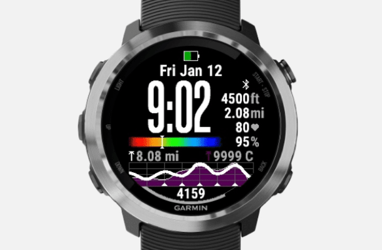 garmin vivoactive 3 watch face